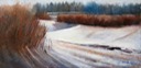 Late Spring Snow